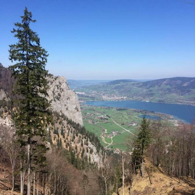 Ferienwohnung Meindl Elfi An Der Drachenwand 44 Mondsee Buitenkant foto